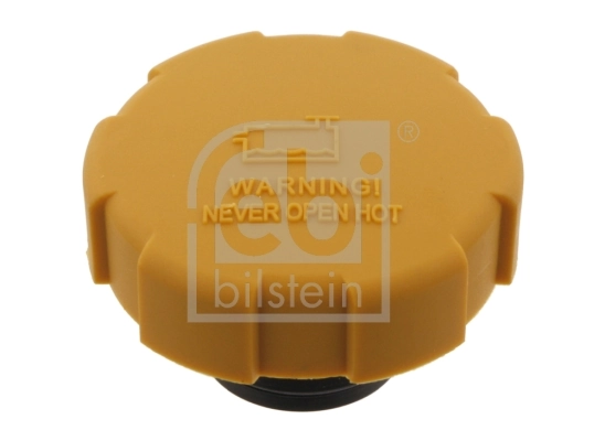 Cap, coolant tank